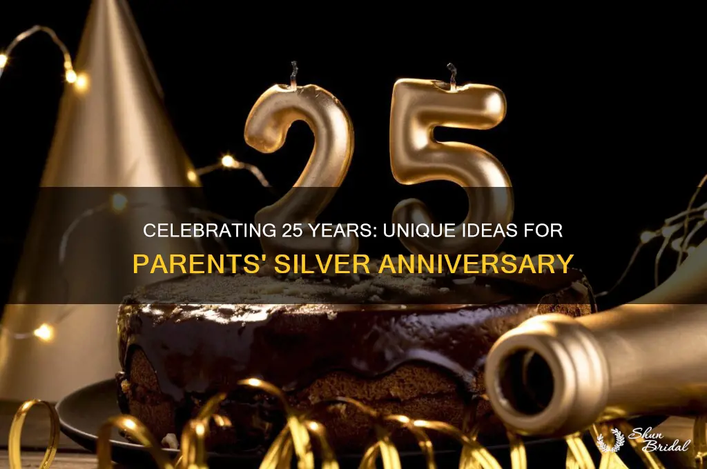 what to do for my parents 25th wedding anniversary