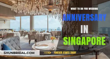 Romantic Singapore Anniversary Ideas: Celebrate Love in the Lion City