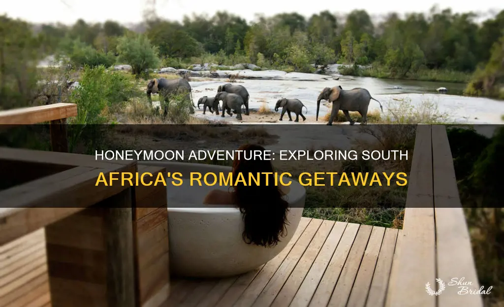 what to do for your honeymoon in south africa