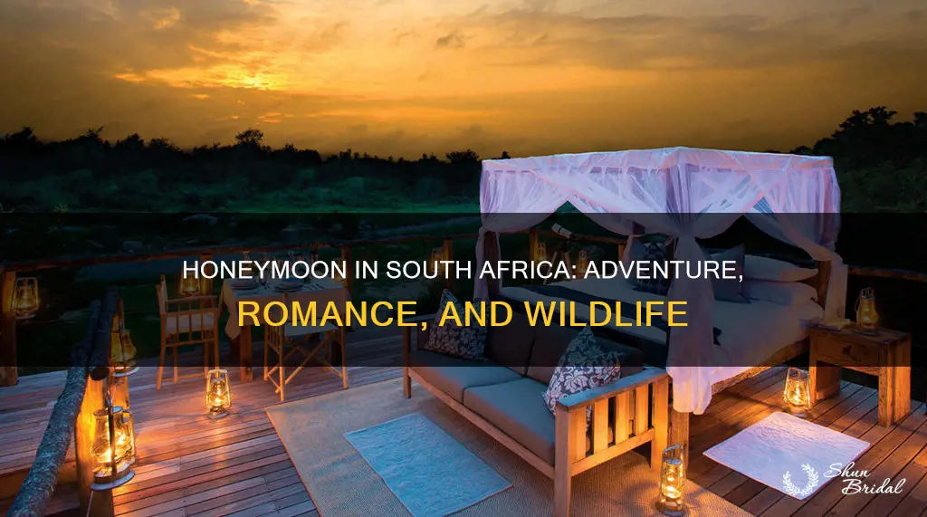 what to do for your honeymoon in south africa
