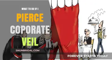 Piercing the Corporate Veil: Essential Steps to Protect Your Business