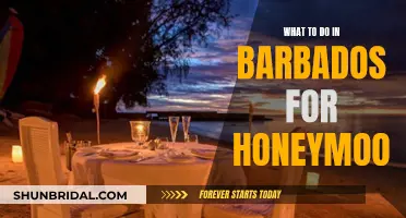 Honeymoon in Barbados: Activities and Adventures for Newlyweds