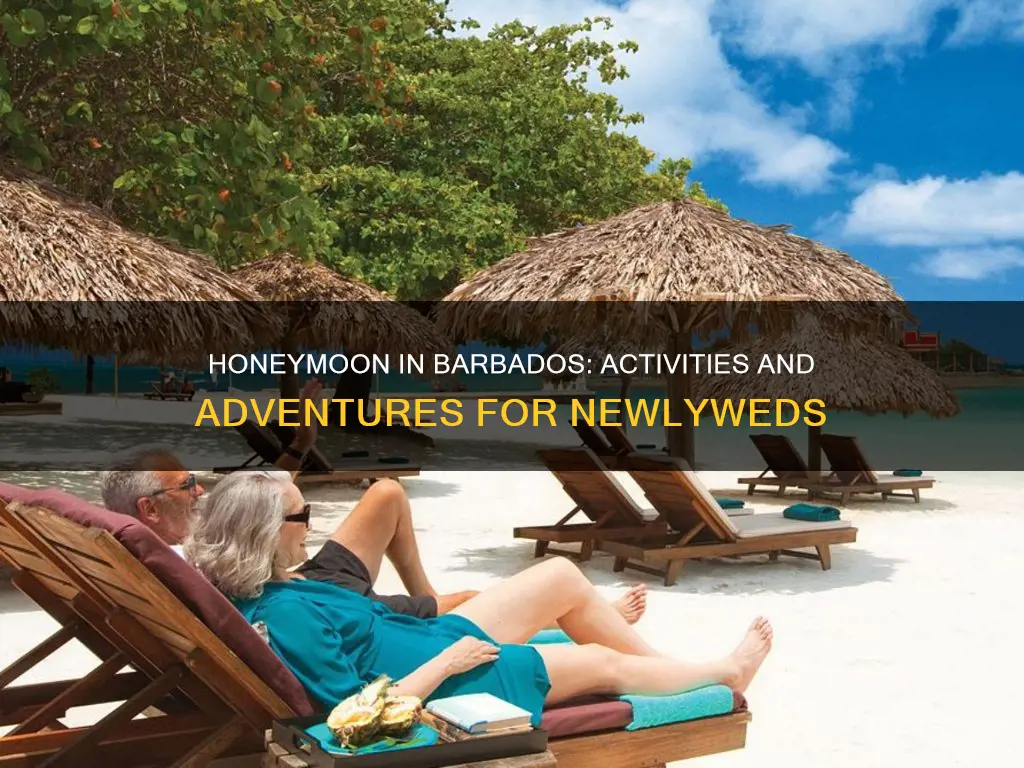 what to do in barbados for honeymoon