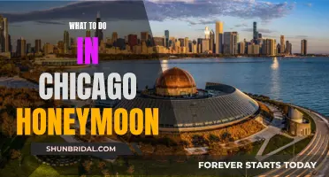 Chicago Honeymoon: 5 Days of Romantic Adventures