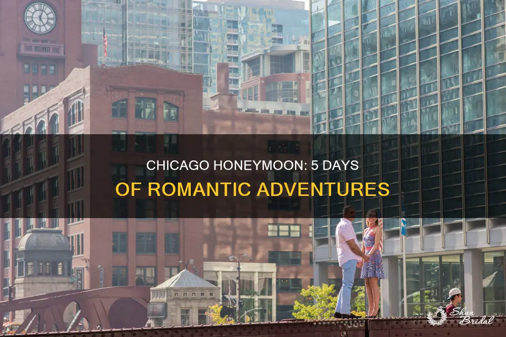 what to do in Chicago honeymoon