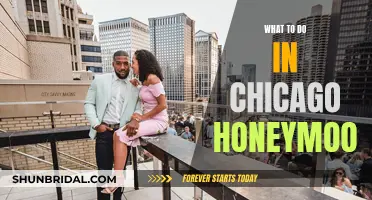 Exploring Chicago's Romantic Side on Your Honeymoon