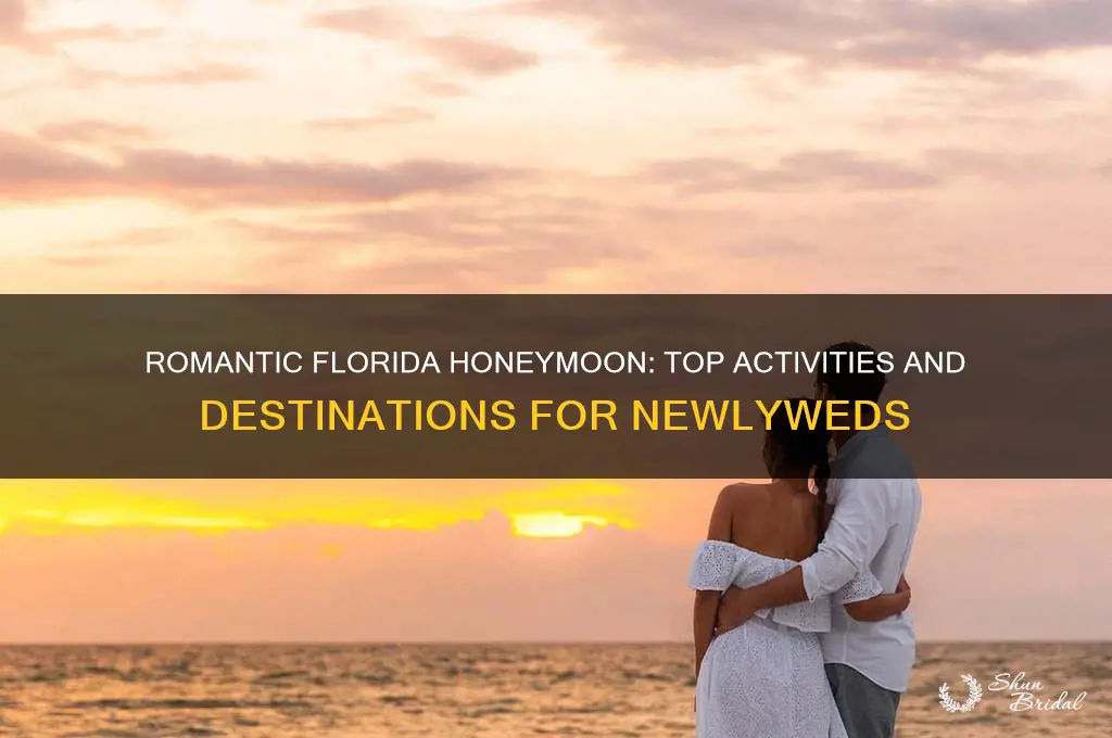 what to do in florida for honeymoon