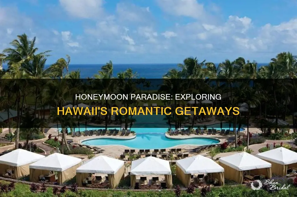 what to do in hawaii on your honeymoon