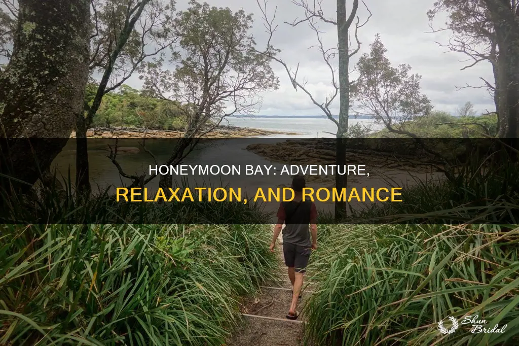 what to do in honeymoon bay