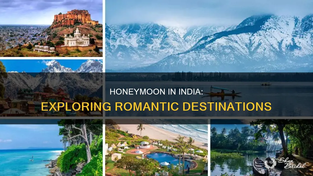 what to do in honeymoon in india