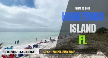 Honeymoon Island FL: A Guide to Paradise