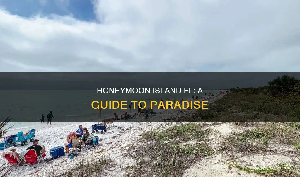 what to do in honeymoon island fl