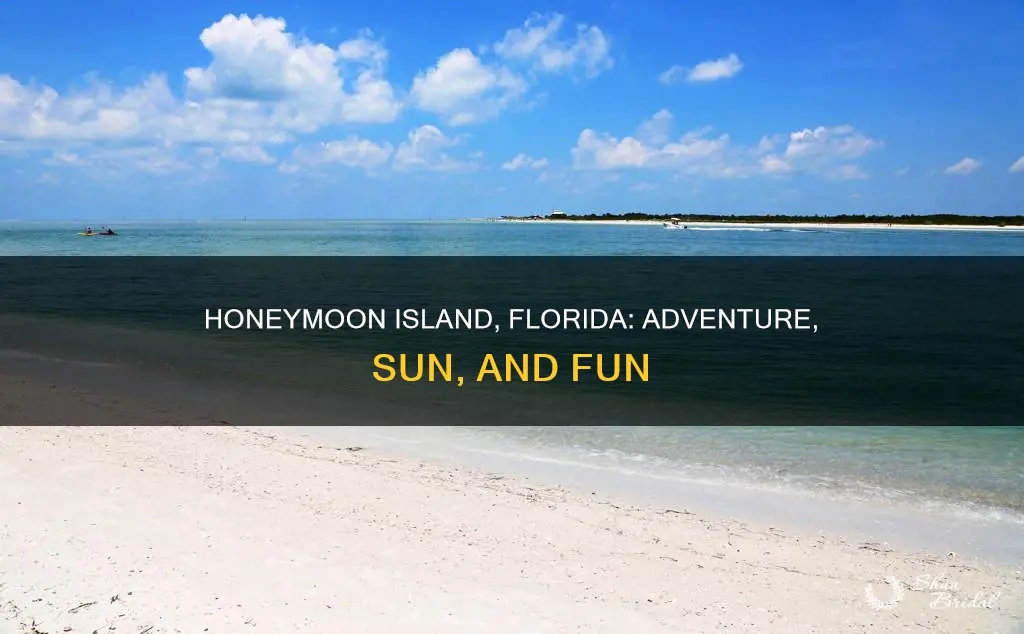 what to do in honeymoon island fl