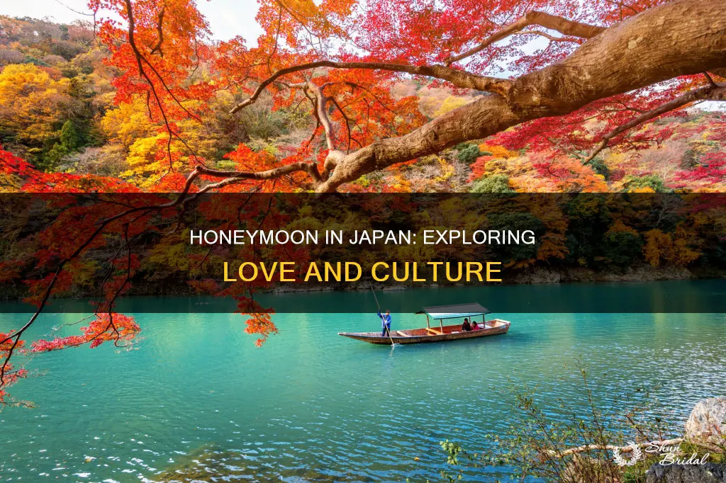 what to do in japan for honeymoon