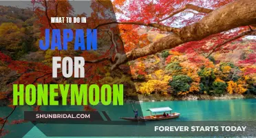 Honeymoon in Japan: Exploring Ancient Traditions and Futuristic Cities
