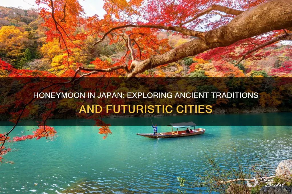 what to do in japan for honeymoon