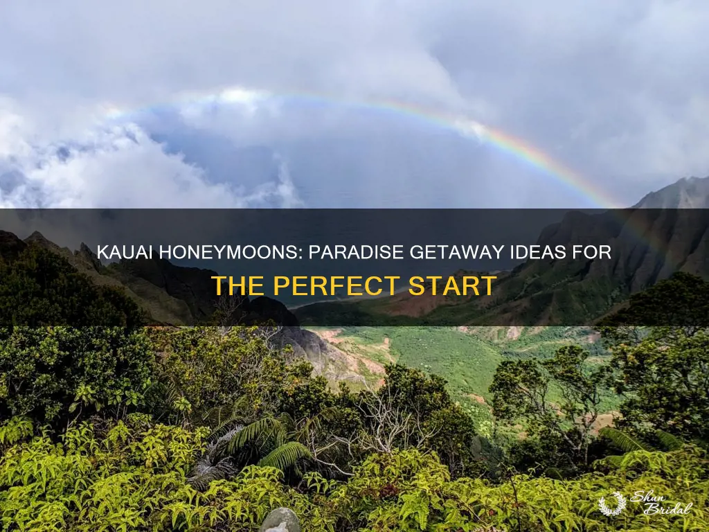 what to do in kauai honeymoon