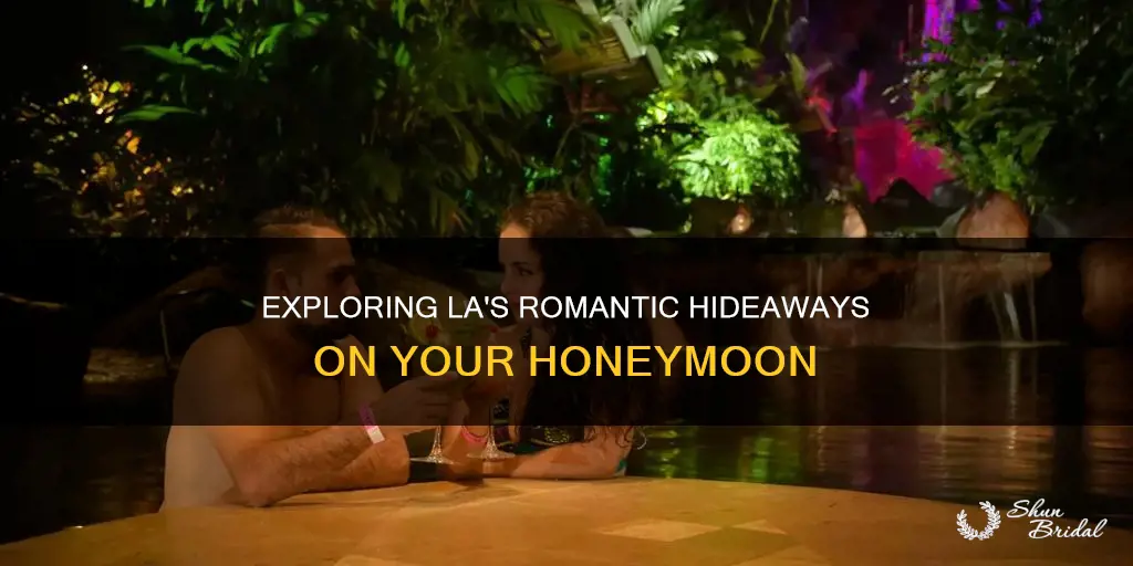 what to do in la for honeymoon