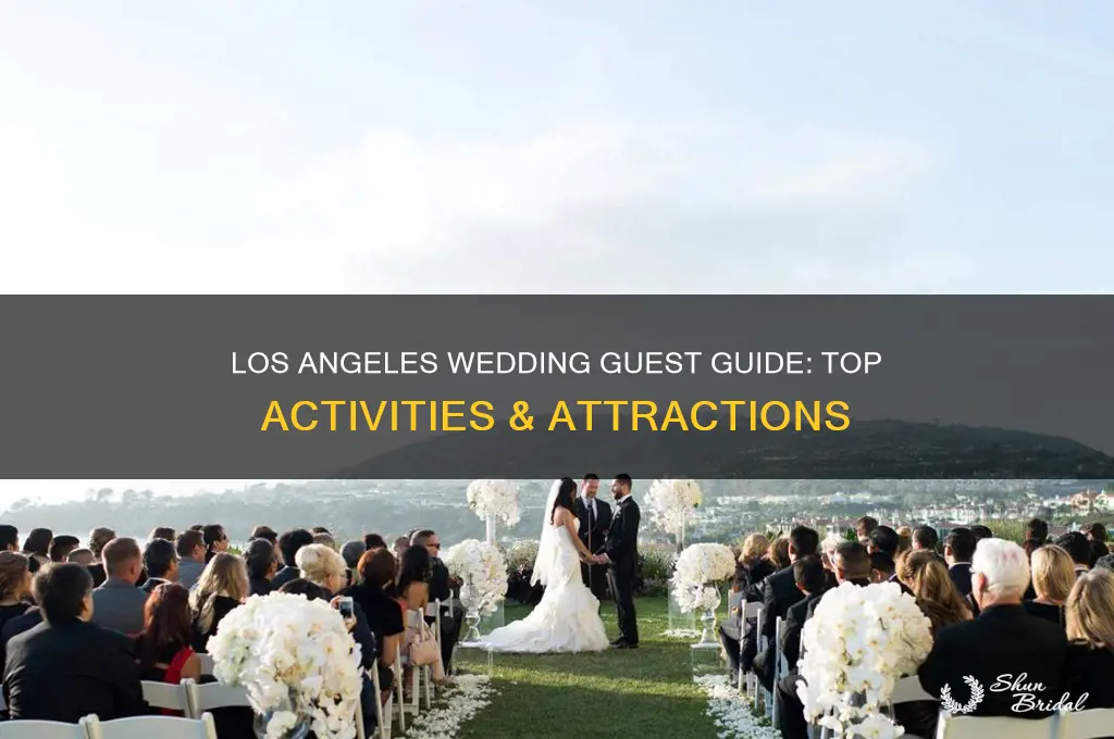 what to do in los angeles for wedding guests