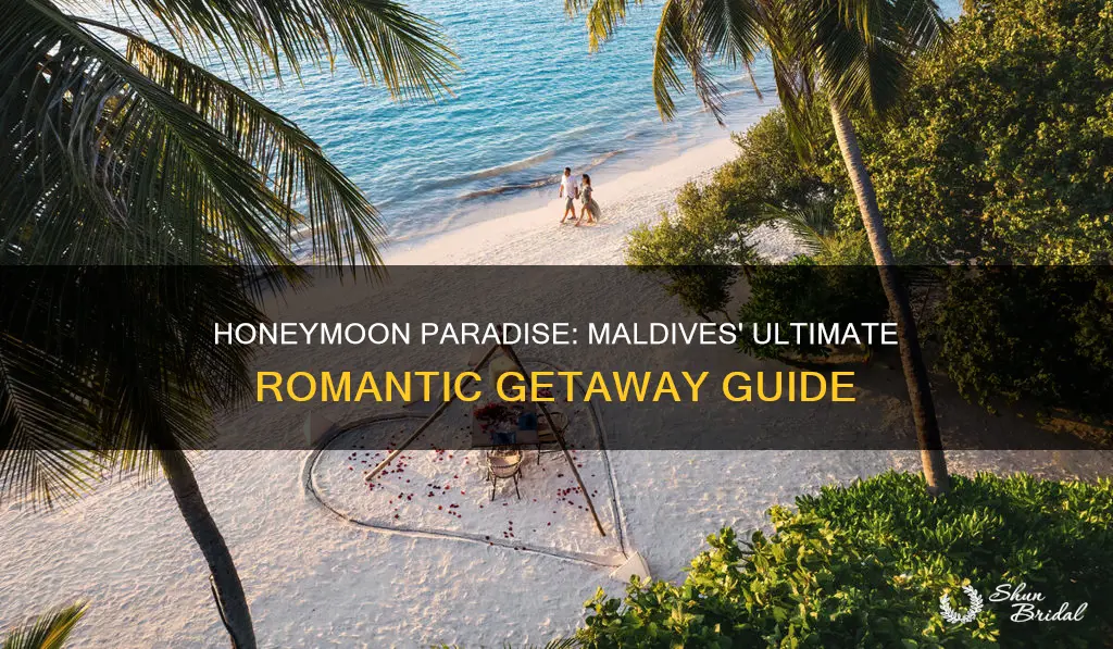 what to do in maldives for honeymoon