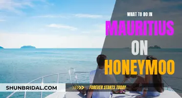 Exploring Mauritius: A Romantic Honeymoon Itinerary
