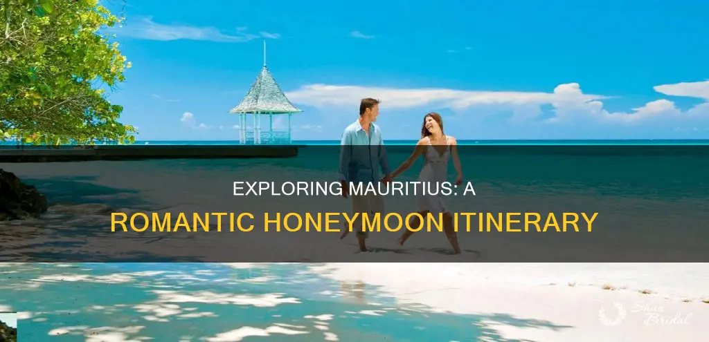 what to do in mauritius on honeymoon