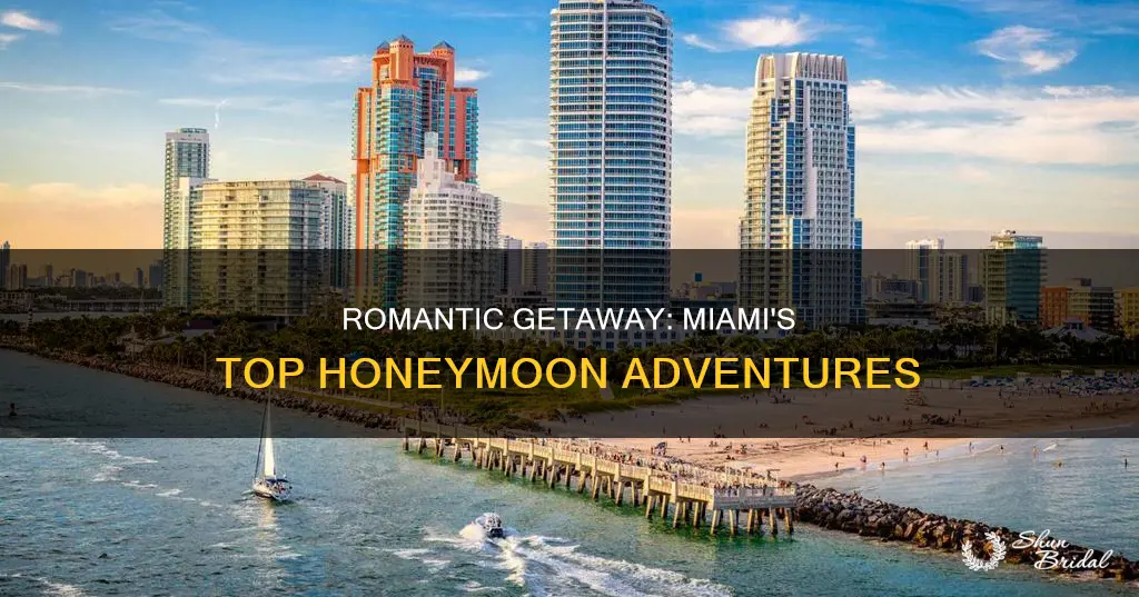 what to do in miami for honeymoon