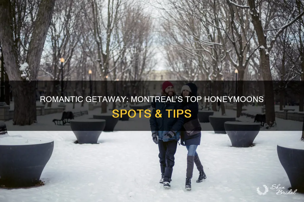 what to do in montreal honeymoon