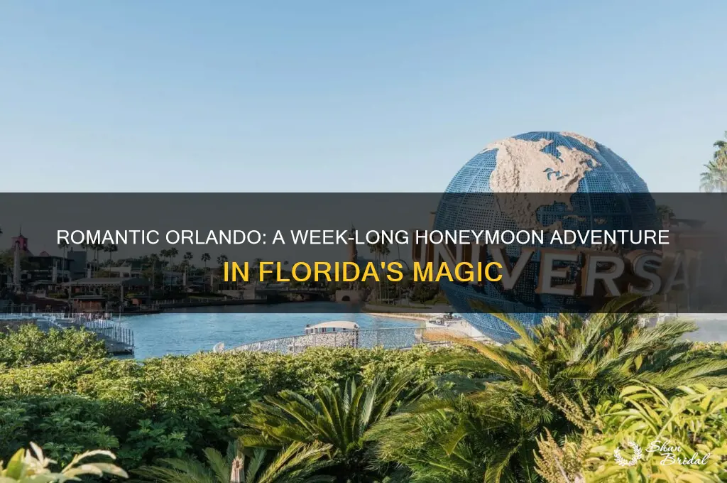what to do in orlando florida for a week honeymoon