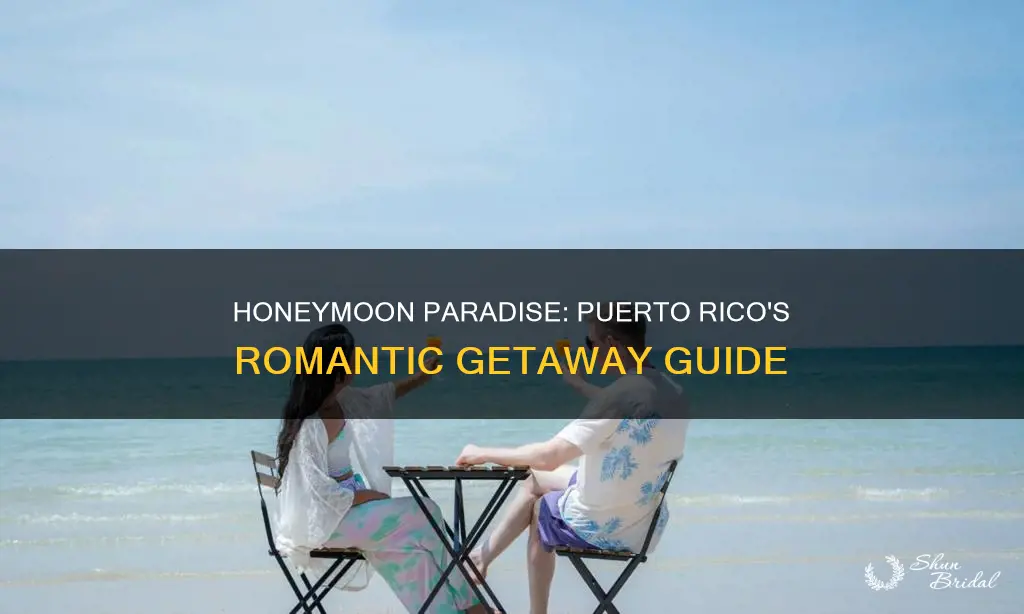 what to do in puerto rico for honeymoon