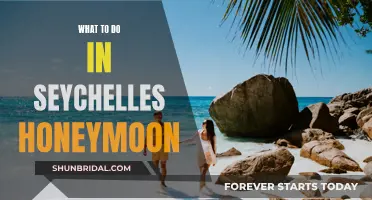 Romantic Getaway: Seychelles Honeymoons: Paradise, Adventure, and Relaxation