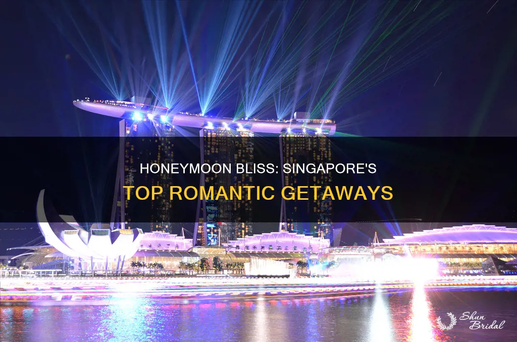 what to do in singapore on your honeymoon