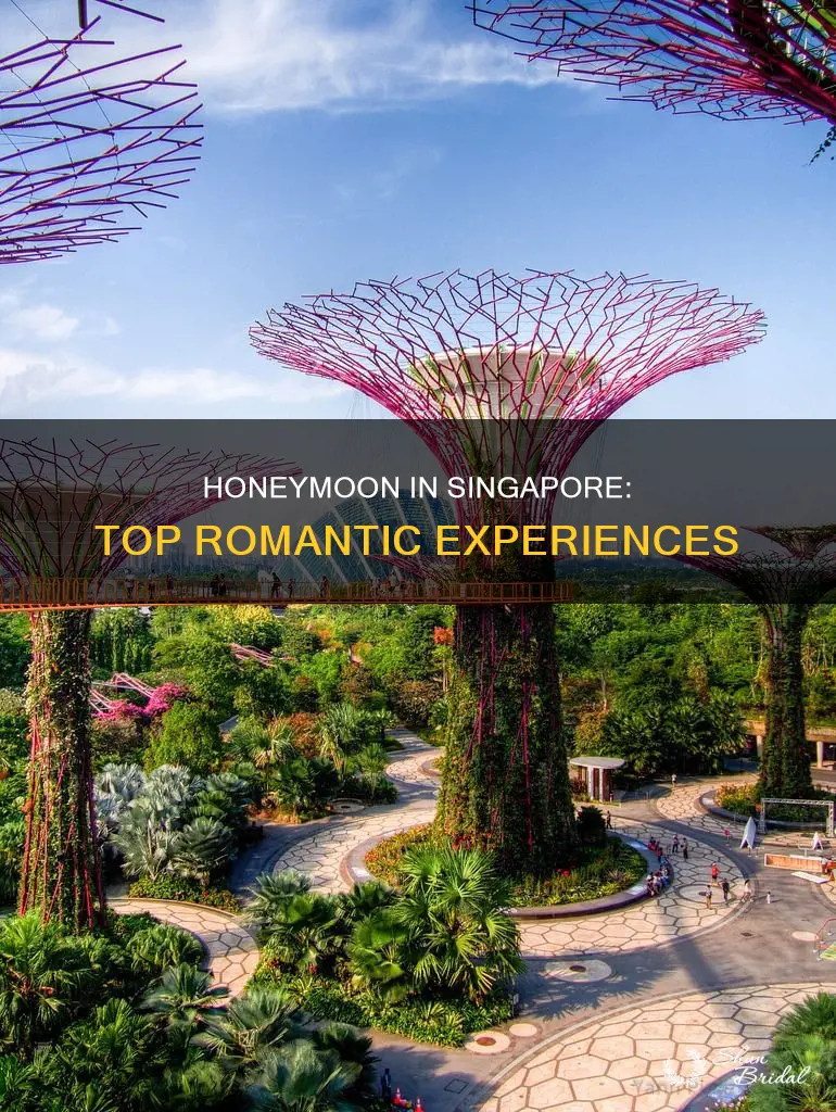 what to do in singapore on your honeymoon
