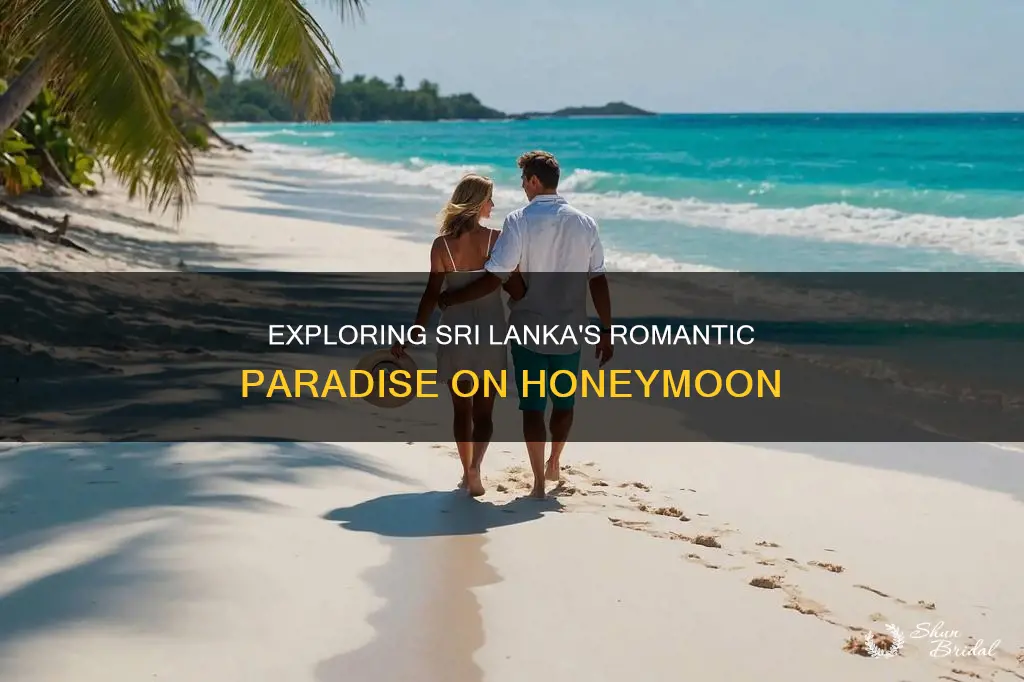 what to do in sri lanka honeymoon
