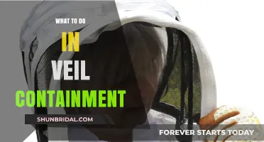 Surviving Veil Containment: Essential Tips and Strategies for Safety