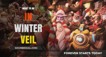Winter Veil Wonders: Festive Activities to Enjoy This Holiday Season