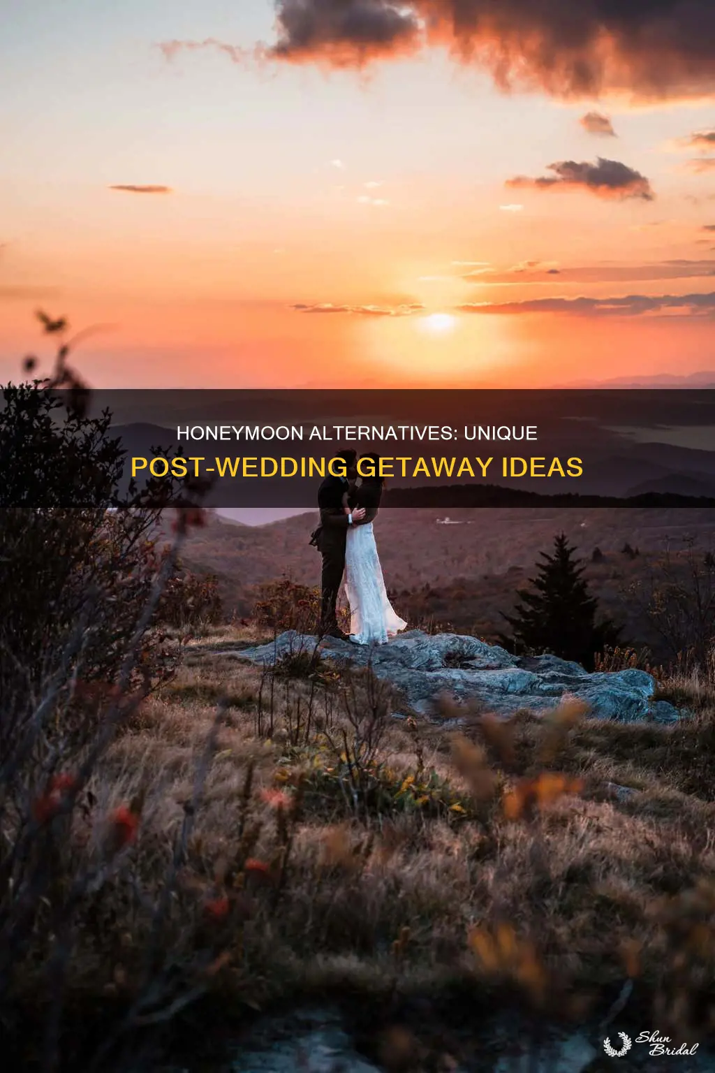 what to do instead of a honeymoon