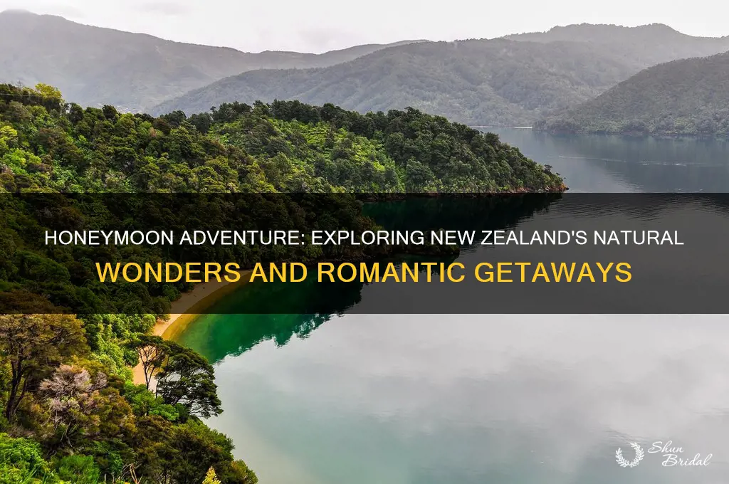 what to do new zealand honeymoon