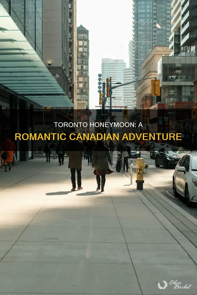 what to do on a honeymoon to toronto canada