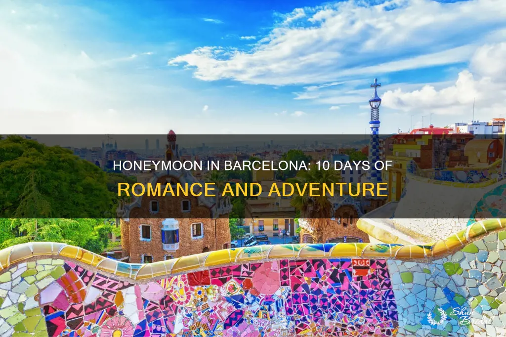 what to do on honeymoon in barcelona