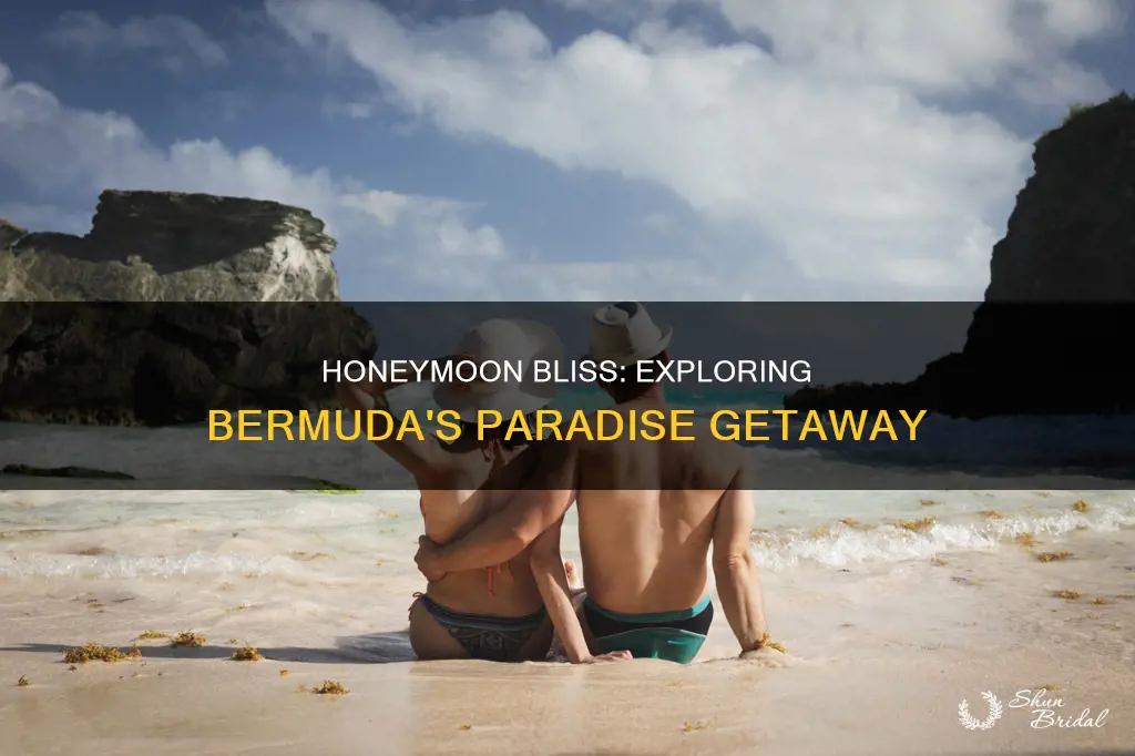 what to do on honeymoon in bermuda