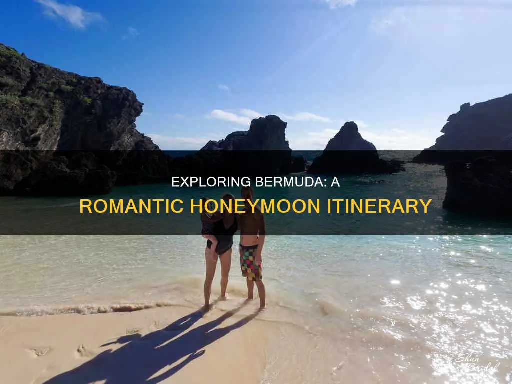 what to do on honeymoon in bermuda