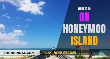 Honeymoon Island Getaway: Adventure, Relaxation, and Romantic Moments