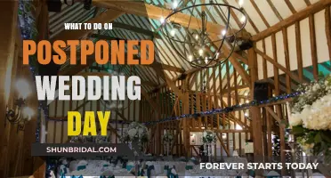Turning Disappointment into Joy: Creative Ideas for Your Postponed Wedding Day