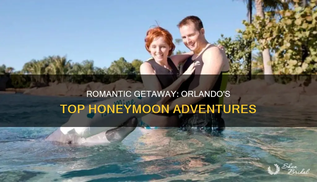 what to do on your honeymoon in orlando