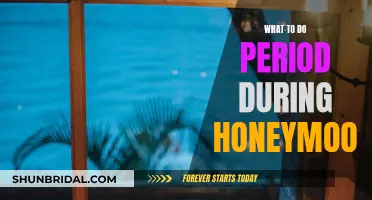 Honeymoon Period Problems: Solutions for a Blissful Vacation