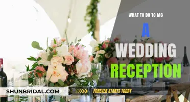 Guide to MC'ing a Wedding Reception