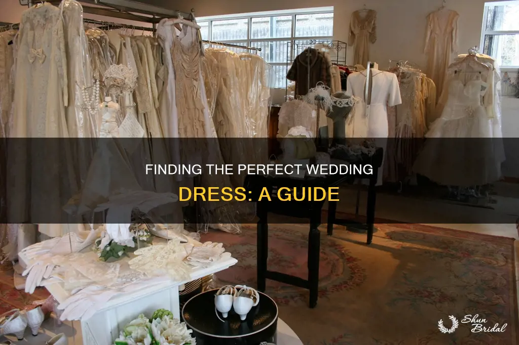what to do when going wedding dress shoppin