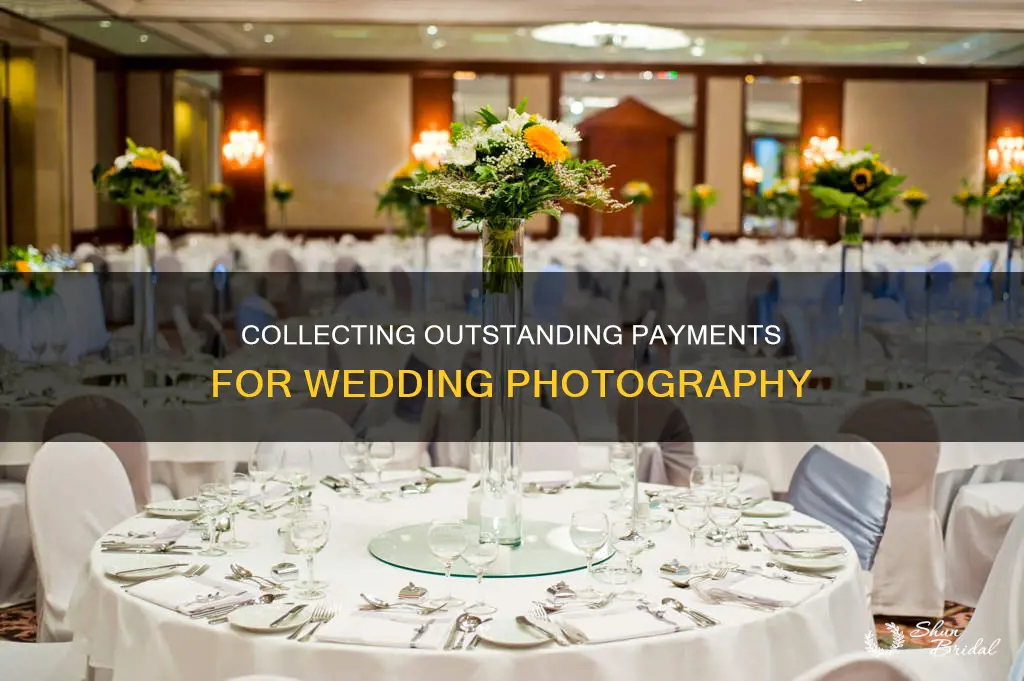 what to do when someone still owes wedding photography money