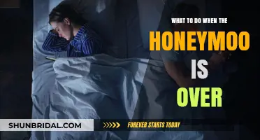 Navigating Post-Honeymoon Phase: Reigniting Love and Connection in Relationships